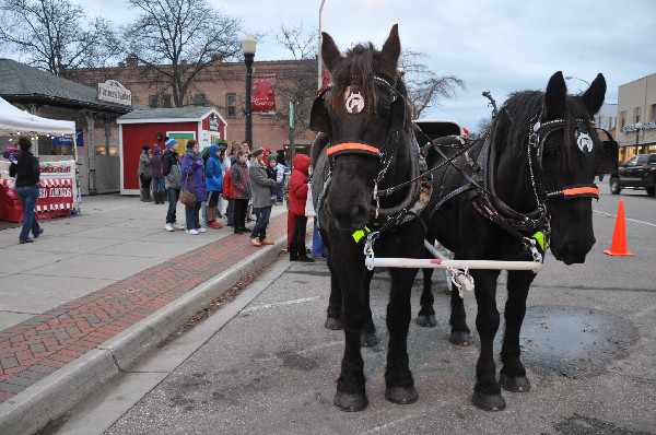 Horses Michigan parade christmas